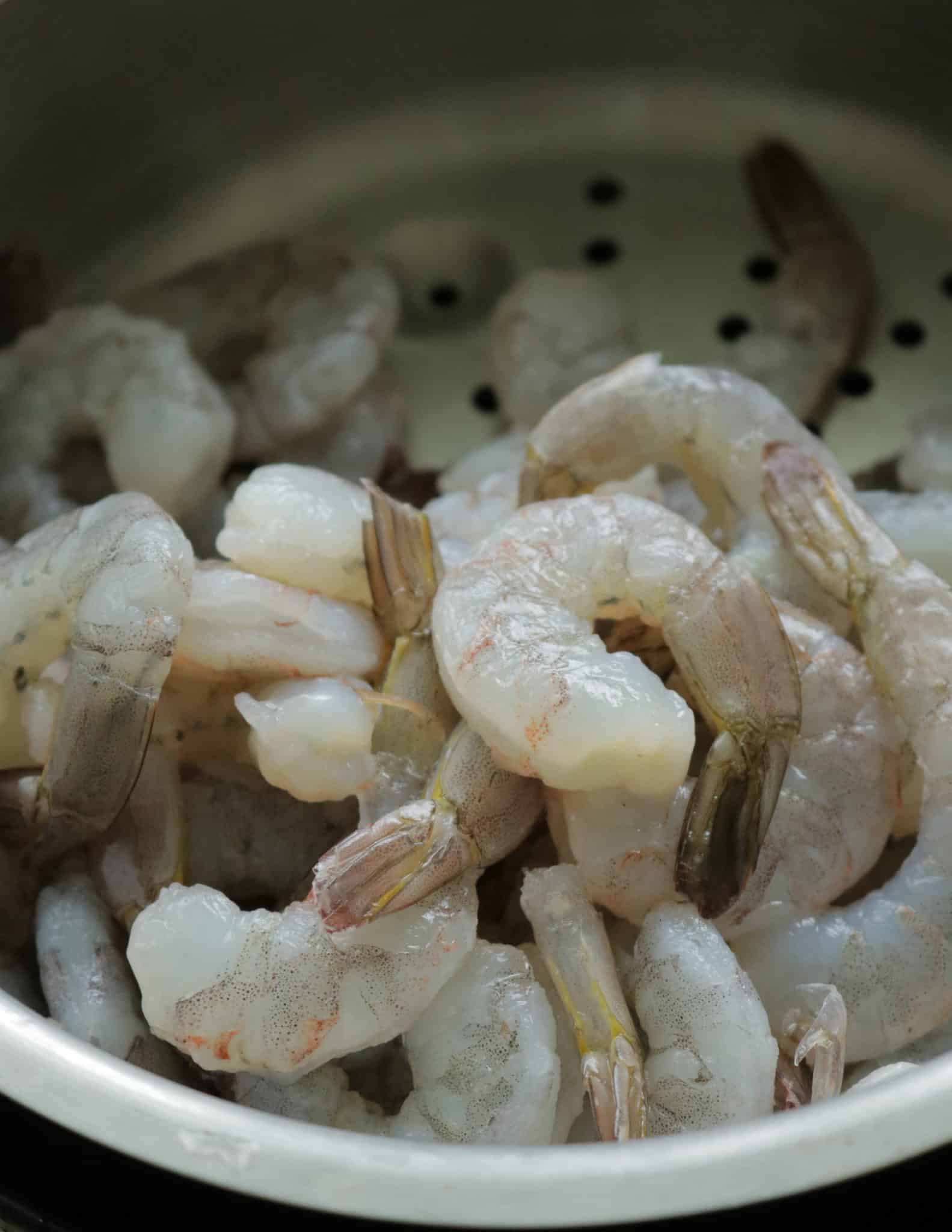 HOW TO THAW SHRIMP THE SEAFOOD BLOG