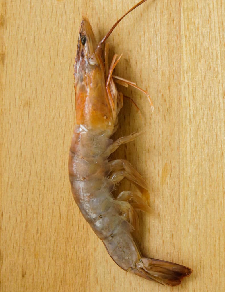 shrimp on a wooden board ready to be cleaned.