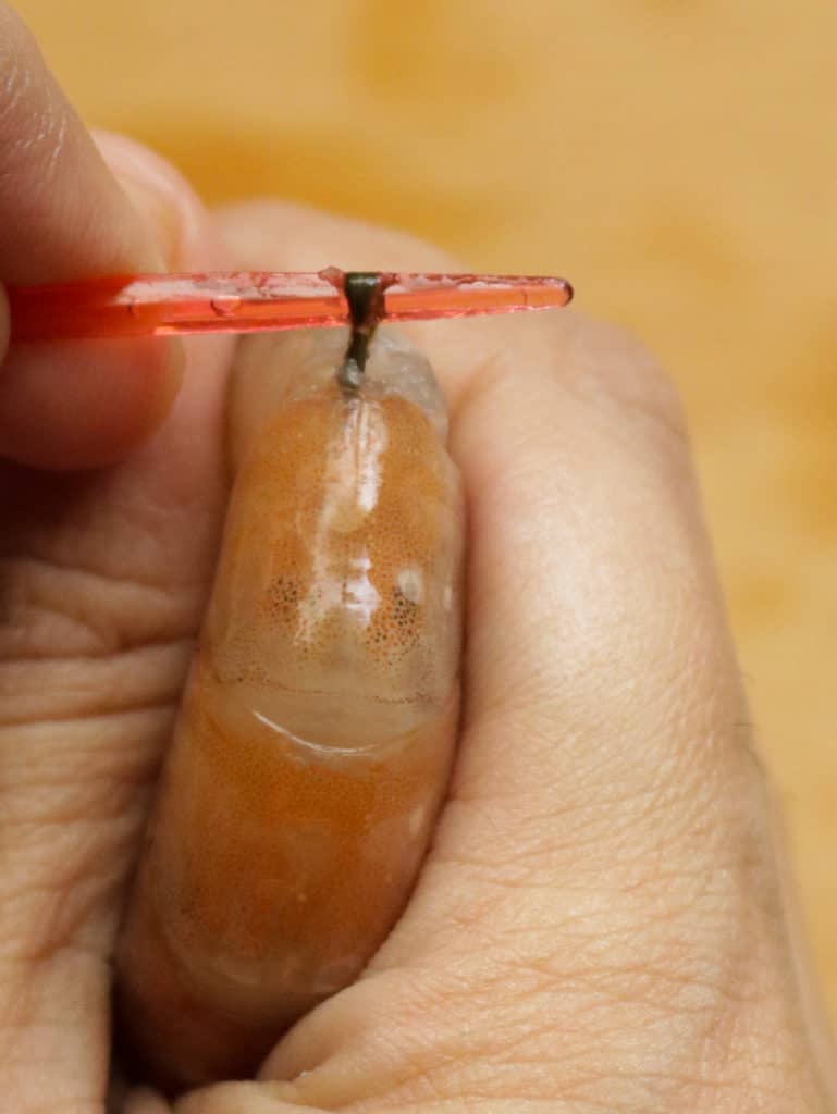 gently pulling out the vein from the shrimp