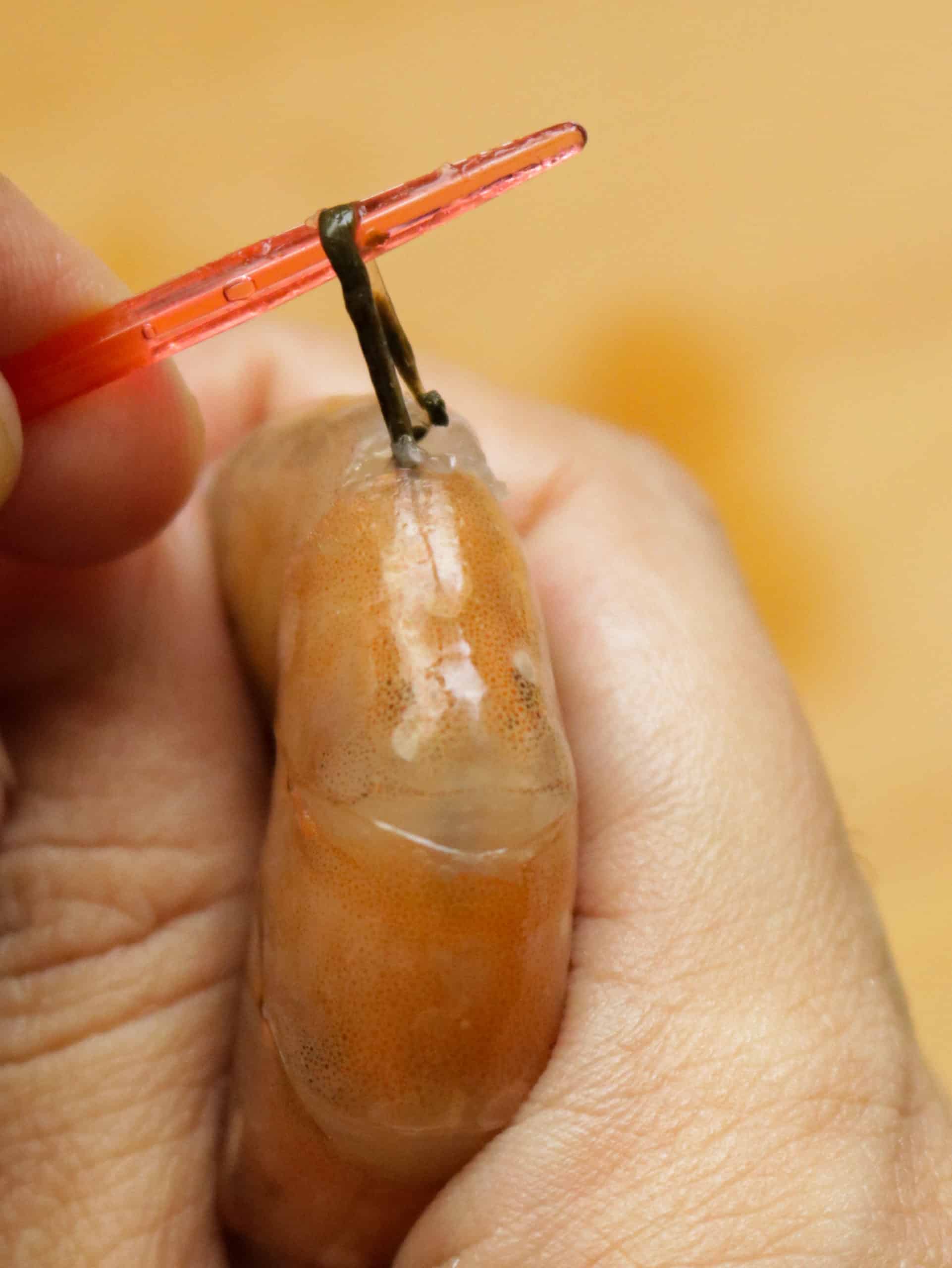 completely pulling out the shrimp vein