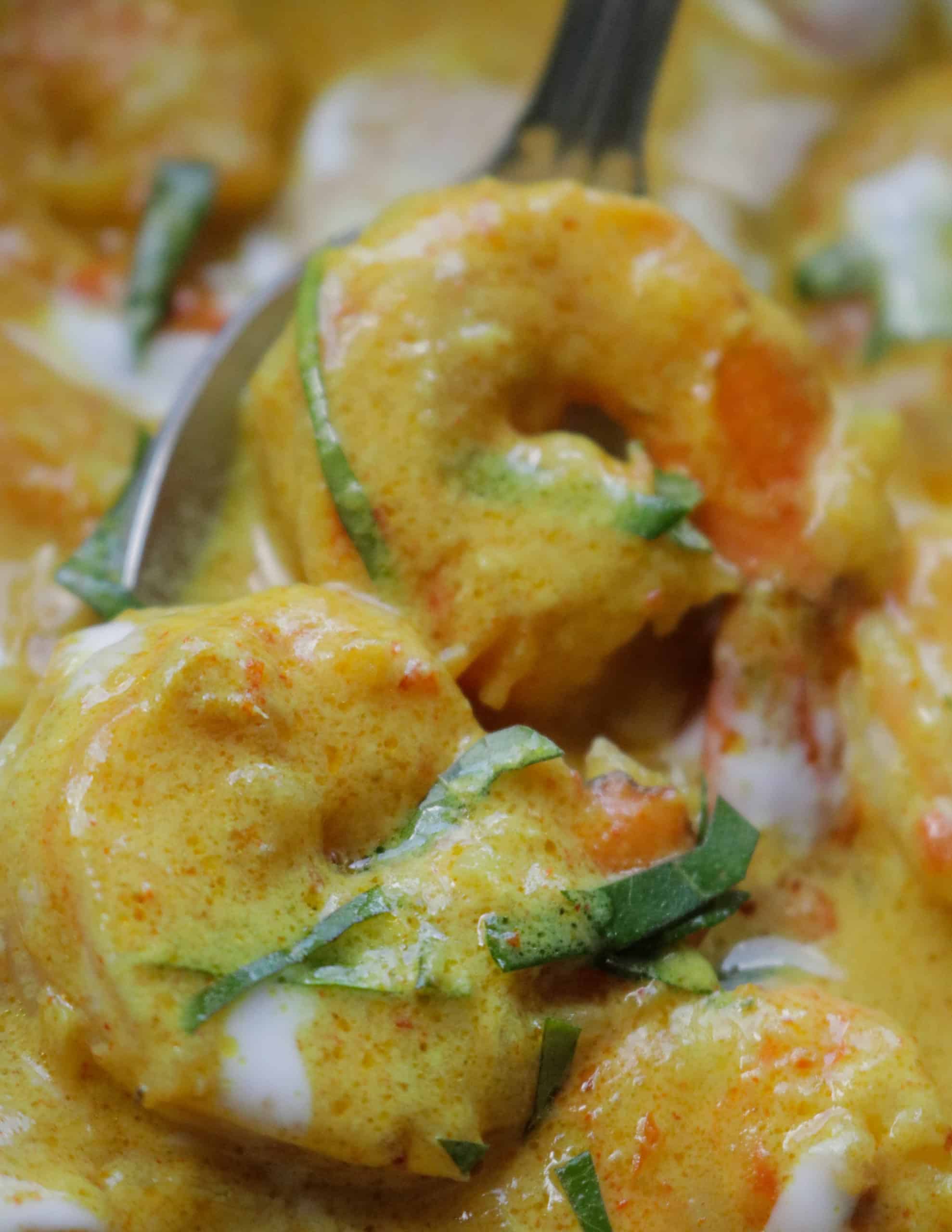 creamy shrimp curry. THE SEAFOOD BLOG