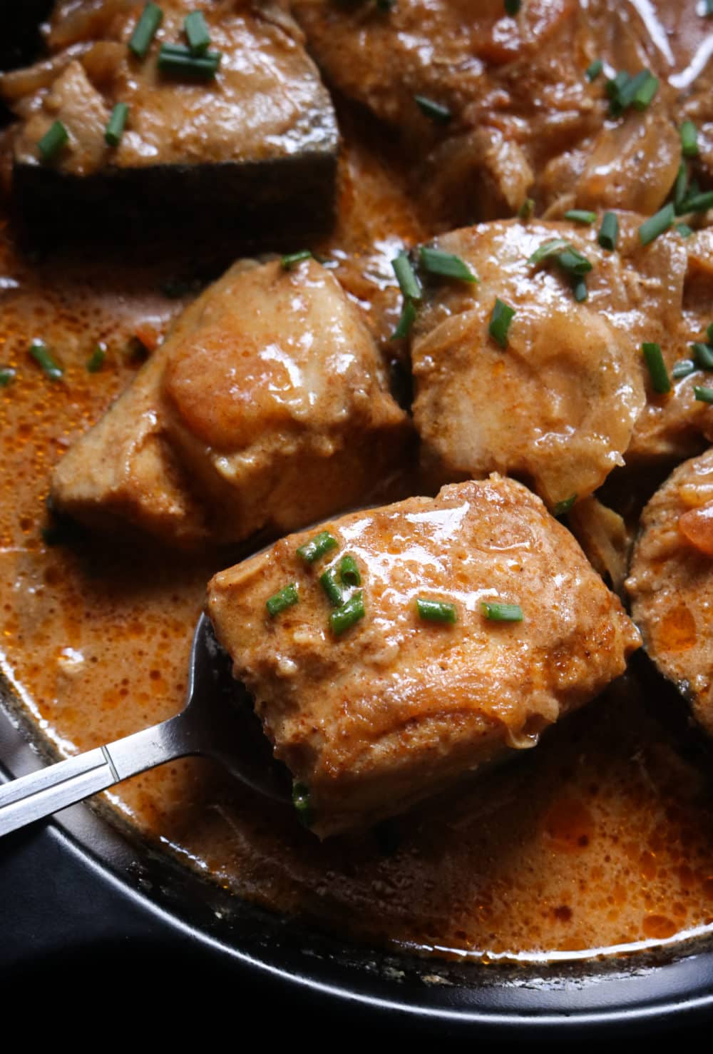 Indian fish curry, a spoon scooping a fish cube.