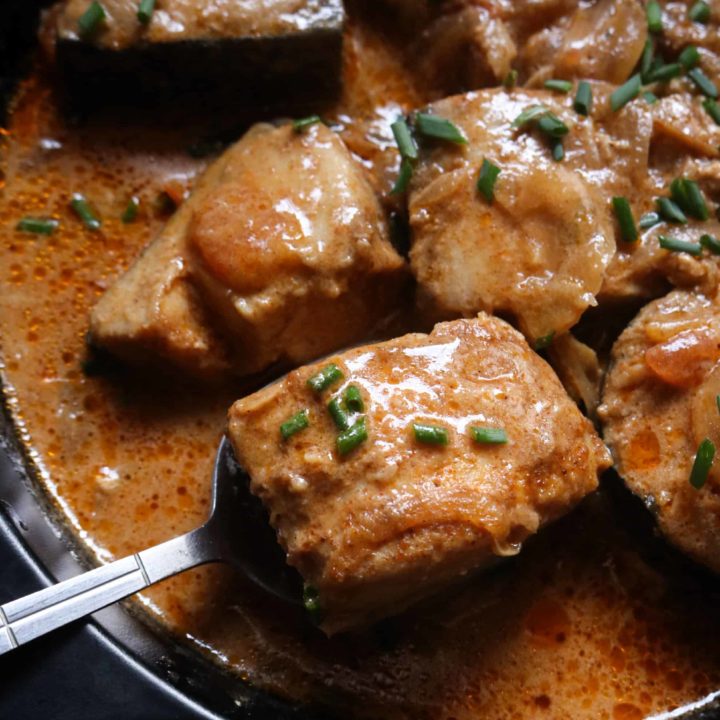 Indian fish curry, a spoon scooping a fish cube.