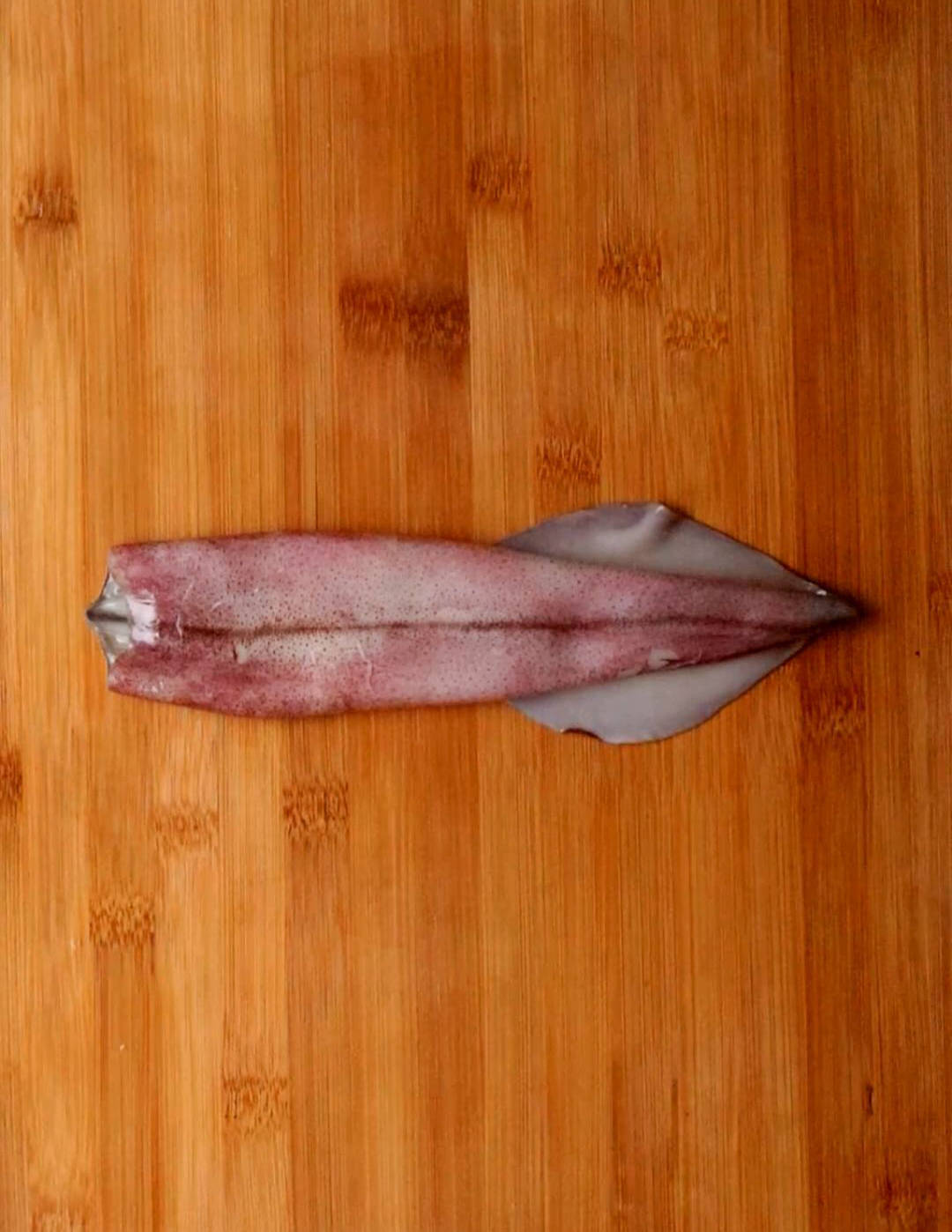 HOW TO CLEAN SQUID(CALAMARI). - THE SEAFOOD BLOG