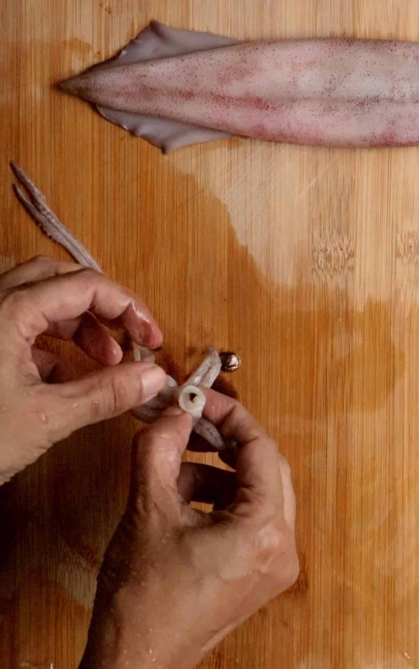 How to clean squid(calamari). - THE SEAFOOD BLOG